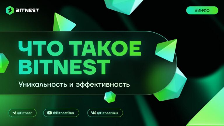 BitNest: Инновационная Экосистема для Криптоинвестиций