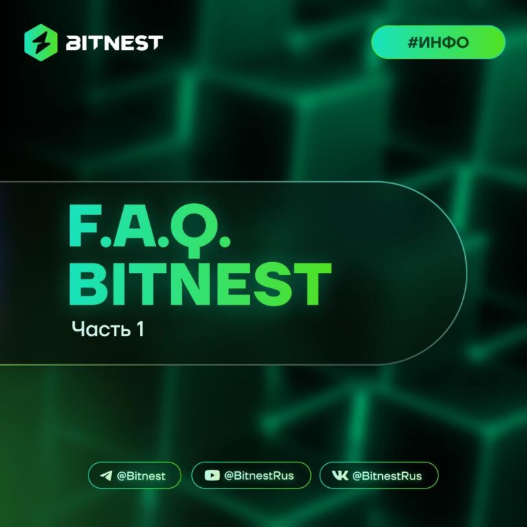 BitNest: Полный Гайд по Вопросам и Ответам для Успешной Работы!
