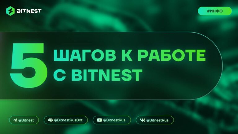 BitNest: Простой вход в мир криптовалют — инструкция для новичков + секреты успеха!