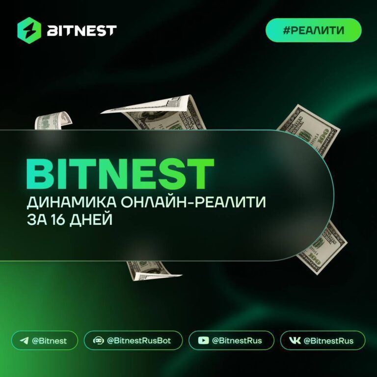 BitNest Реалити: Отчет за 16 дней – Удивительный рост на основе сложного процента!