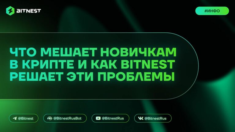 BitNest: Криптовалюта для всех – Откройте мир DeFi с минимальным порогом!
