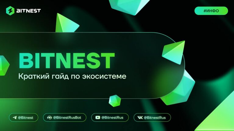 BitNest: DeFi с фиксированной доходностью — Разбор для новичков (2024)