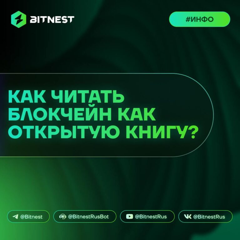 Прозрачность Web3: Как BitNest строит доверие на основе открытых данных