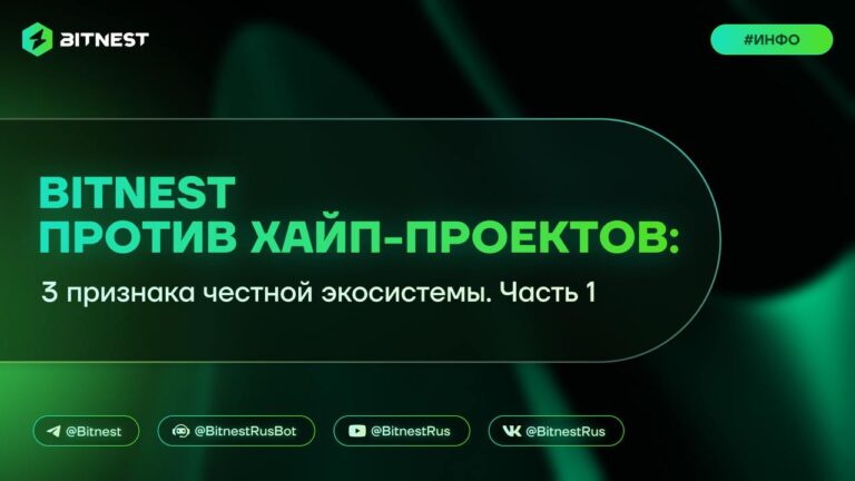 BitNest: Защитите Инвестиции от Финансовых Пирамид в Криптовалюте