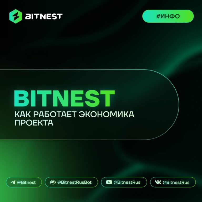 Прибыль в BitNest: Как работает DeFi-экосистема и откуда ваши деньги?