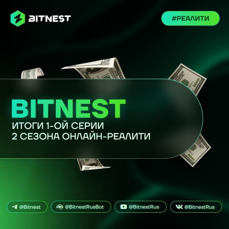 BitNest Reality: 24% Доходности за 28 Дней – Прямой Эфир Ваших Инвестиций!