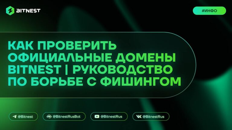 Защитите свои криптоактивы: Как BitNest помогает распознать фишинговые сайты и обезопасить кошелек