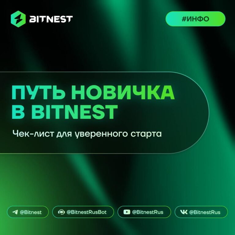 BitNest для новичков: 7 шагов к успеху в экосистеме