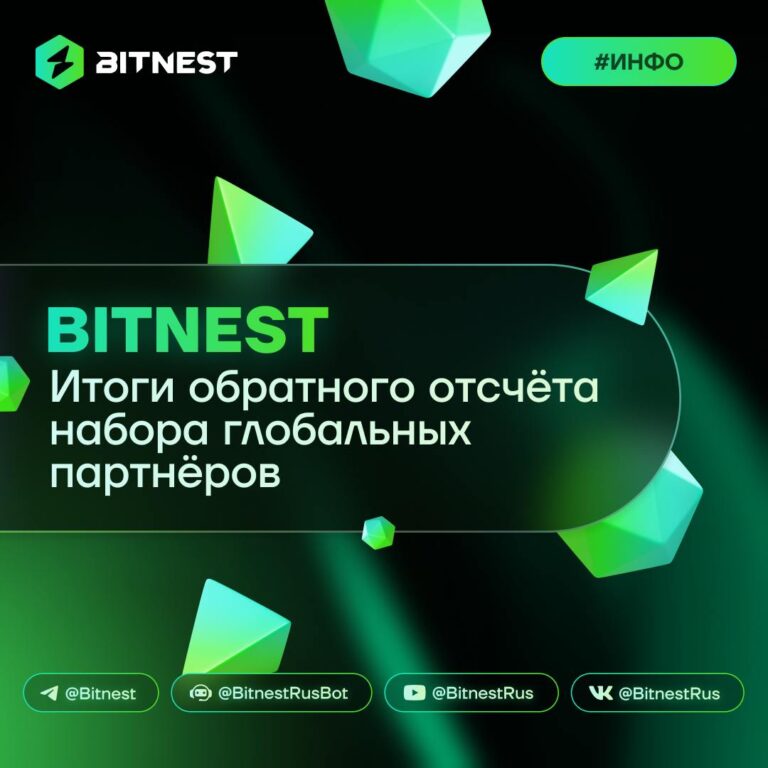 BitNest: Год Успеха Глобальной Предпринимательской Программы и Новые Горизонты!