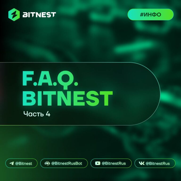 BitNest для новичков: ответы на главные вопросы о стейблкоинах и работе в экосистеме