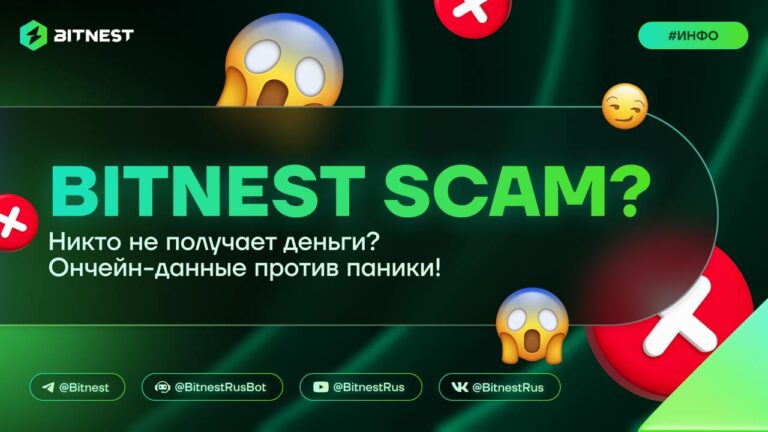 BitNest: Развенчиваем слухи и смотрим правде в глаза – все транзакции в блокчейне!