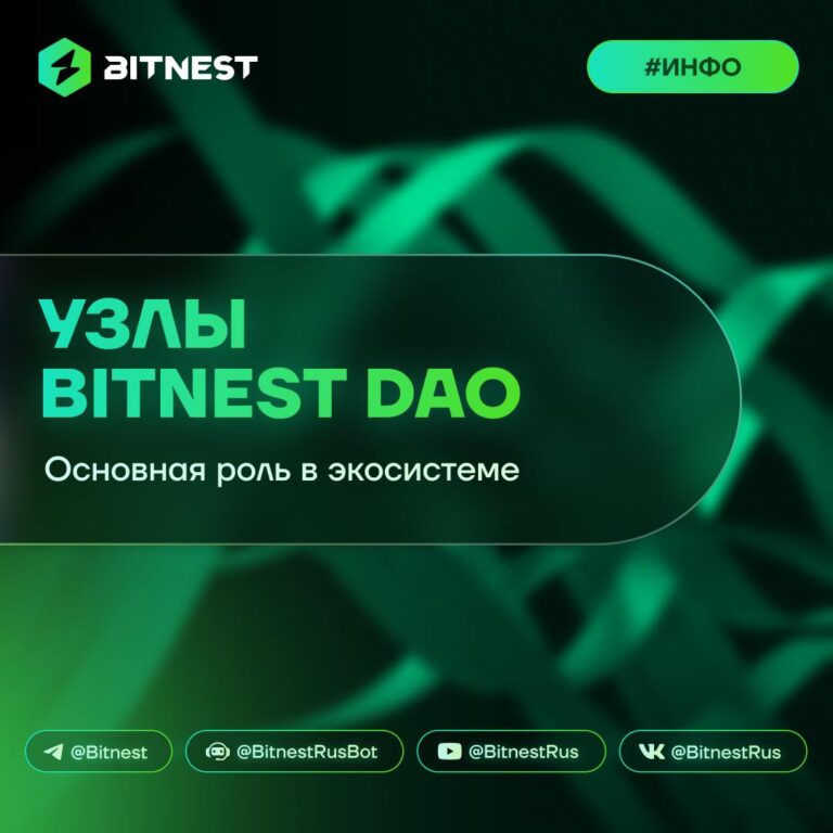 Что такое узлы BitNest DAO и зачем они нужны