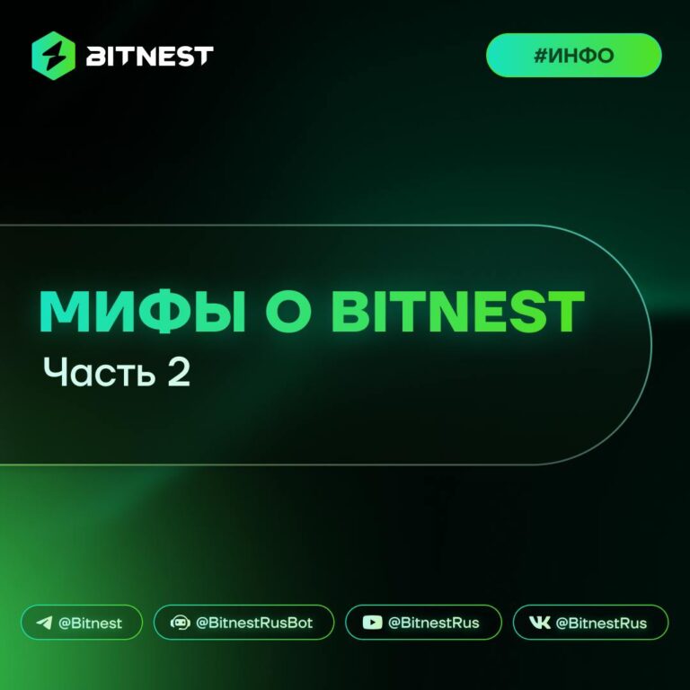BitNest: Разрушая миф о скаме в DeFi