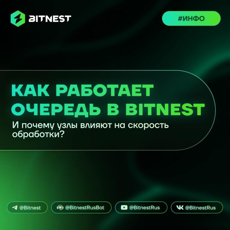 BitNest: Узлы, Очередь и Ваш Выбор – Полный Разбор Ситуации