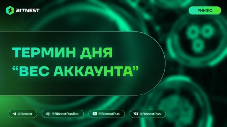 Вес Аккаунта в BitNest: Что Это Такое и Как Он Влияет на Ваши Операции? | BitNest Info