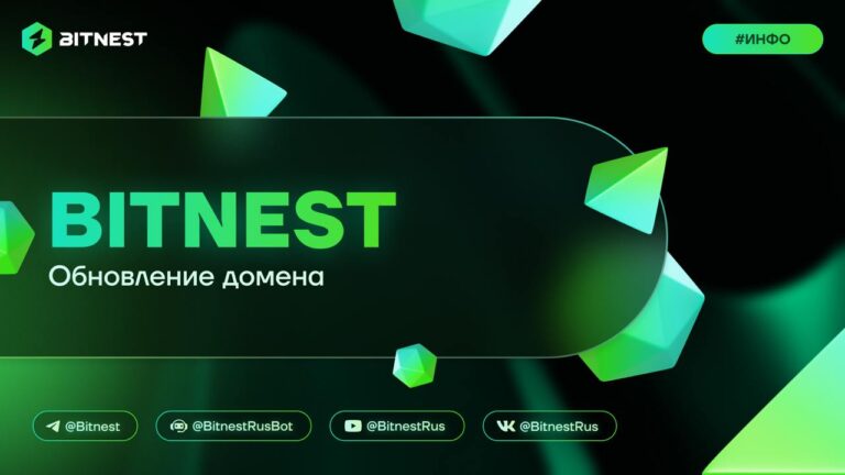 BitNest: Обновление домена – Ваш безопасный доступ к основной сети в 2026 году