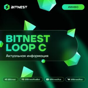 BitNest Loop C: 37 Дней Стабильности и Ваши Преимущества (Обновление)