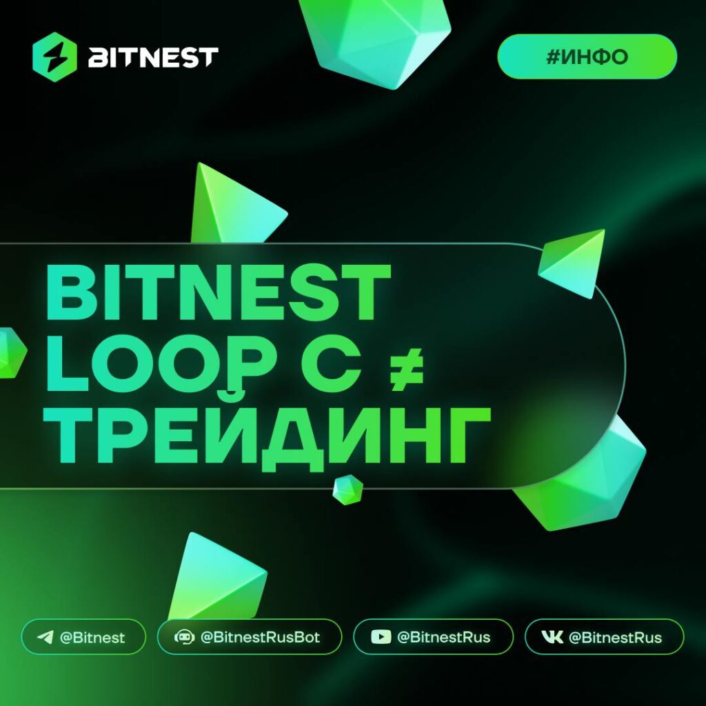BitNest Loop C: Забудьте о волатильности! Зарабатывайте в крипте без риска падения рынка