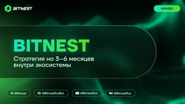 Долгосрочная стратегия в BitNest: Ваш путь к стабильности и успеху