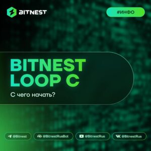 BitNest: Легкий старт в DeFi для новичков – инструкция и преимущества