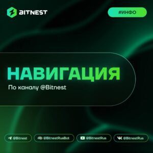 BitNest: Полное руководство по экосистеме – Навигация для новичков и опытных пользователей!