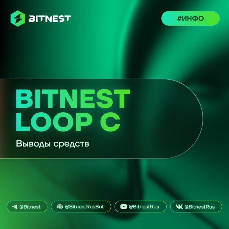 Прозрачность BitNest Loop C: Смотрите транзакции в реальном времени на BNB Chain!