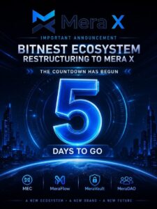 Реструктуризация Экосистемы BitNest в Mera X