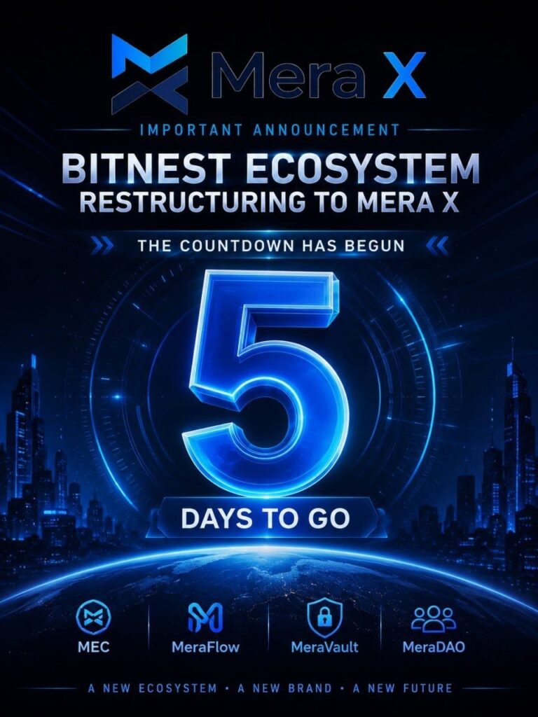 Реструктуризация Экосистемы BitNest в Mera X
